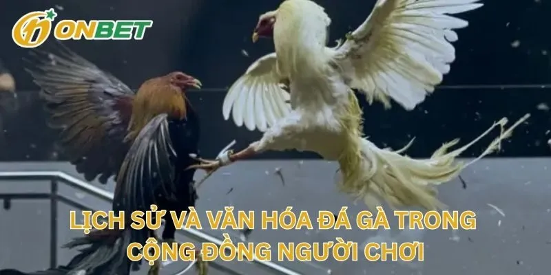 Lịch Sử Và Văn Hóa Đá Gà Trong Cộng Đồng Người Chơi