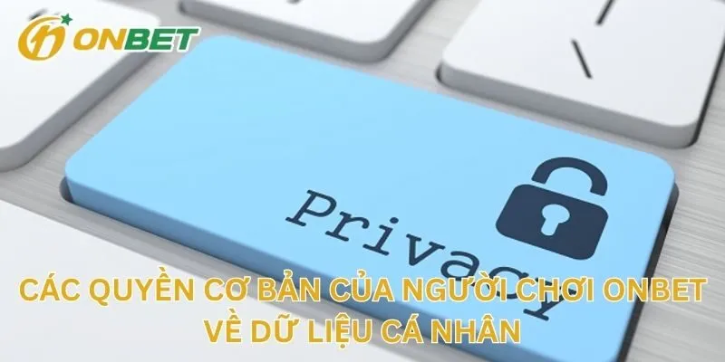 Các Quyền Cơ Bản Của Người Chơi Về Dữ Liệu Cá Nhân